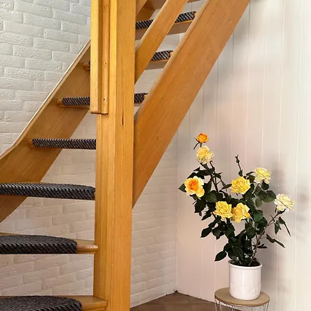 Apartament Schaefer Muehlenblick